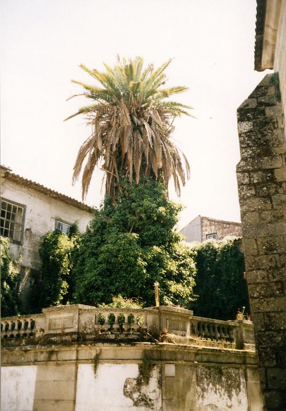 Portugalsko2003_0547
